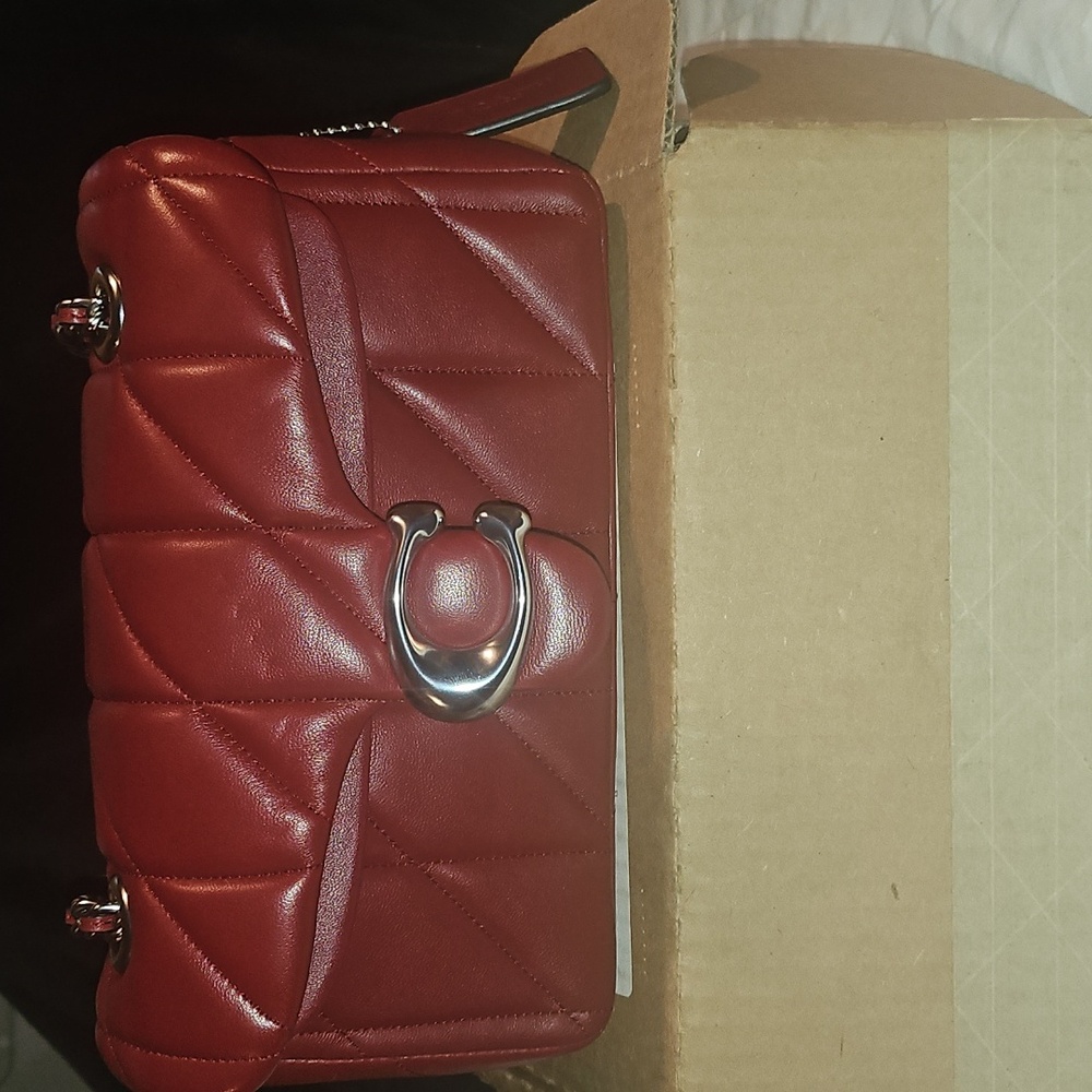 Coach Mini Bag - Elegant Ruby NWOT